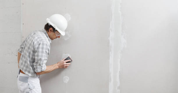 Best Comprehensive Air Testing for Mold Contaminants  in Wahneta, FL